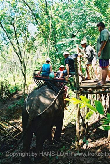 15 Thailand 2002 F1130015 Khao Lak Ausflug Elefantentrekking_478